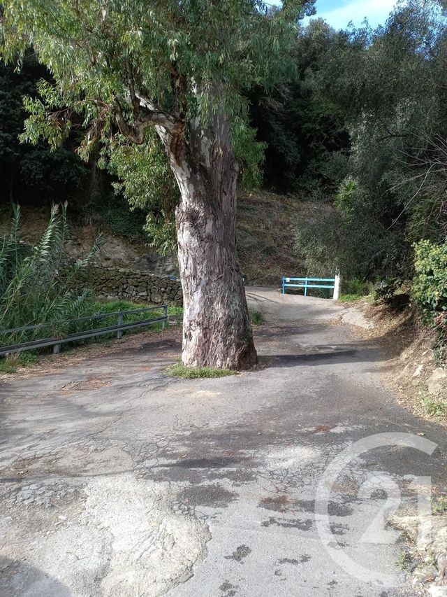 Afficher la photo en grand Appartement F1 à vendre - 1 pièce - 20.0 m2 - MENTON - 06 - PROVENCE-ALPES-COTE-D-AZUR - Century 21 Agence Molière